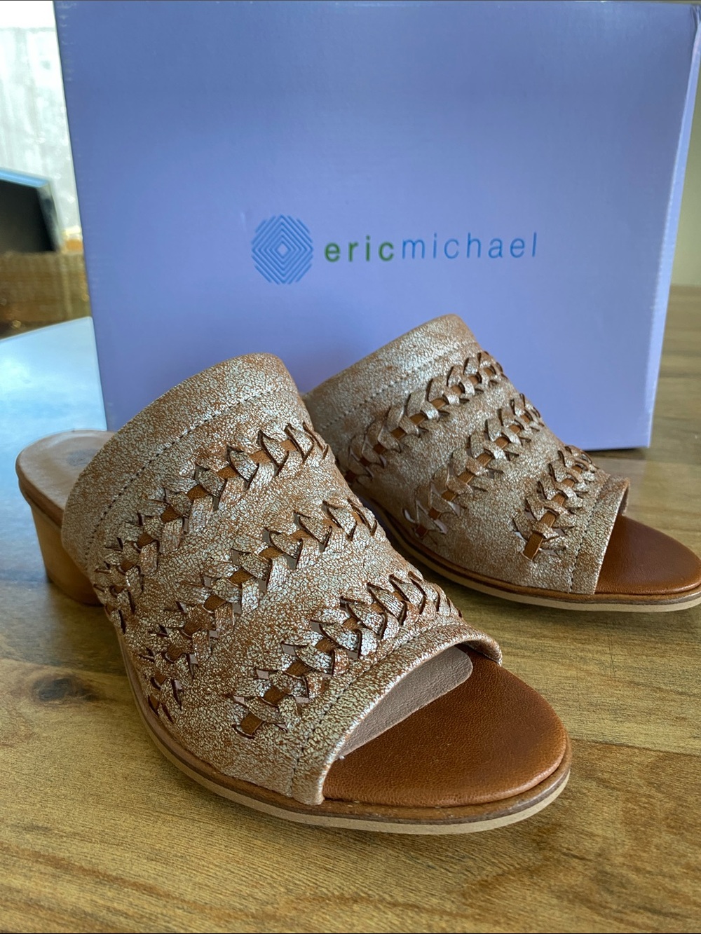 NIB Eric Michael Ice Braided Slide Mules